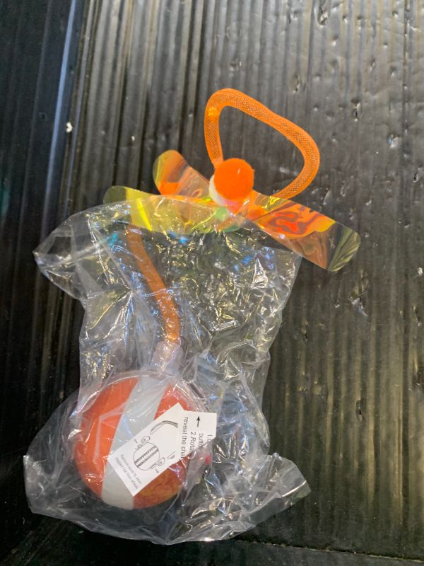 Photo 1 of electric pet toy