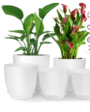 Photo 1 of Plant Pots, Flower Pots with Drainage Holes and Saucers, Plastic Planters for Indoor Outdoor Garden Plants, 7/6.5/5.5/5/4.5 Inch?White?