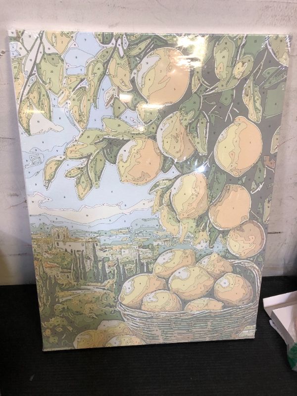 Photo 1 of NAIMOER Lemon Tree Paint by Numbers Kits for Adults Beginner with Wooden Framed, Color by Numbers on Canvas Painting Kits for Adults, Easy Paint DIY Acrylic for Home Wall Decor 12X16 Inch