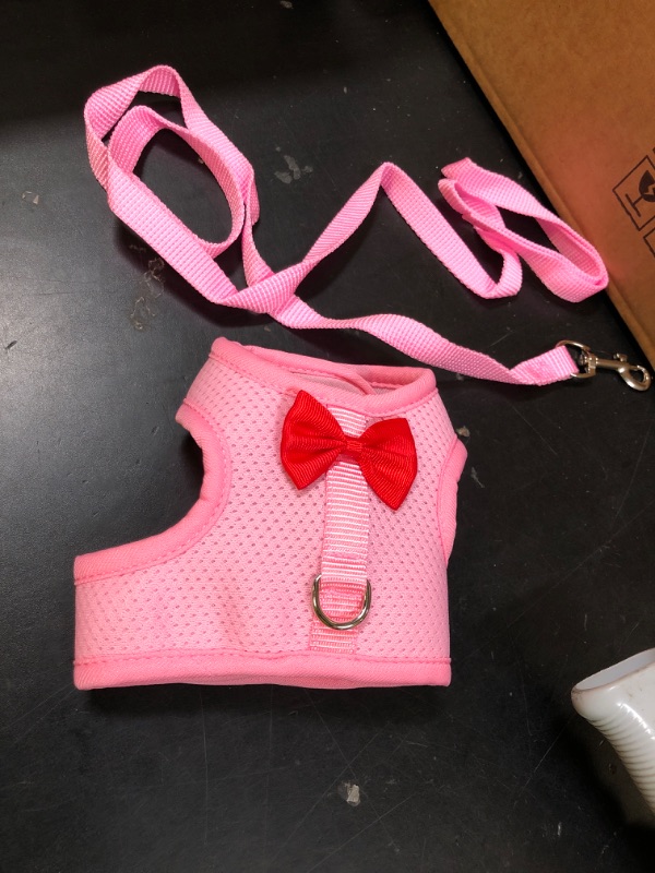 Photo 1 of Small Pink Pet Leash/Harness
