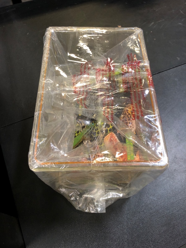 Photo 1 of Exo Terra Faunarium, Plastic Reptile Terrarium, Small, PT2255