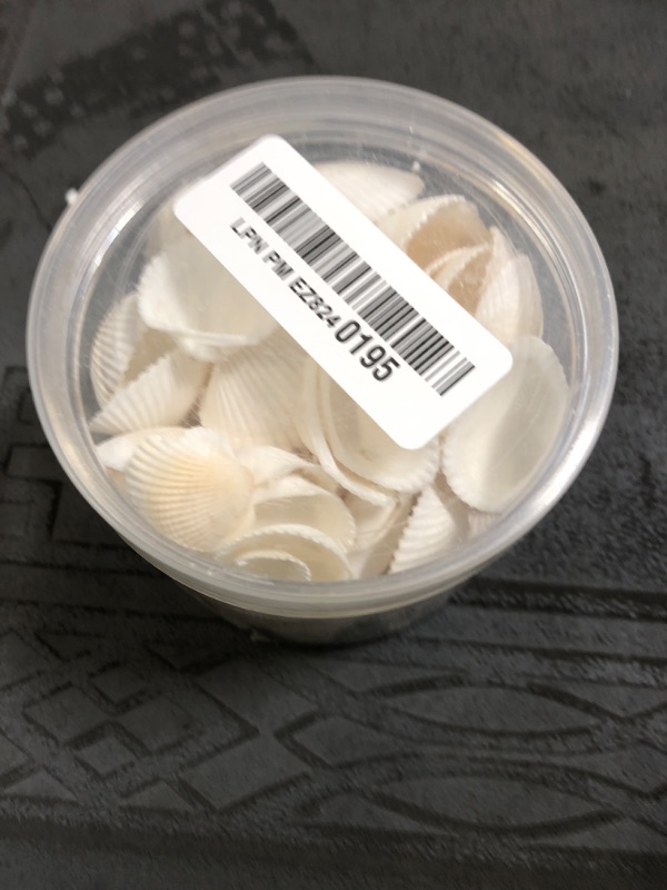 Photo 1 of WeDoSoy Natural Tiny Sea Shells Small White Clam Shells for Crafts Bulk for Home Decorations, Beach Theme Party, Fish Tank Vase Filler, Bracelet Making Accessories