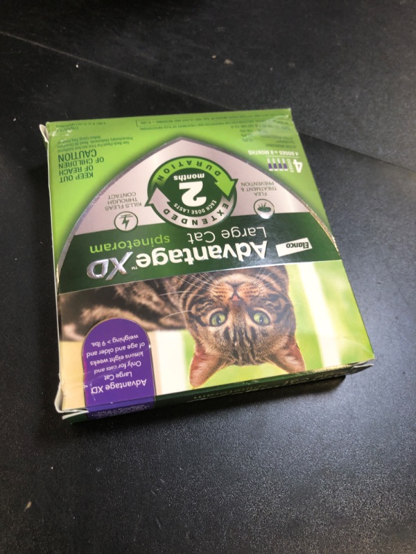 Photo 1 of Advantage XD Large Cat Flea Prevention & Treatment For Cats over 9lbs. | 4-Topical Doses, 2-Months of Protection Per Dose