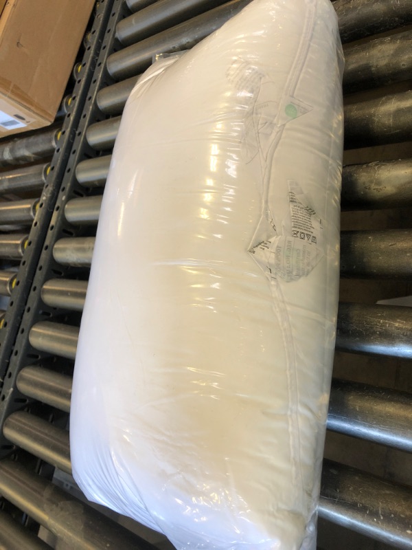 Photo 1 of pillow 