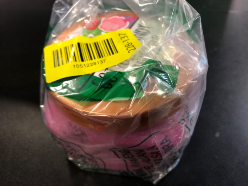 Photo 1 of Tree Hut Cotton Candy Shea Sugar Scrub, 510 Grams