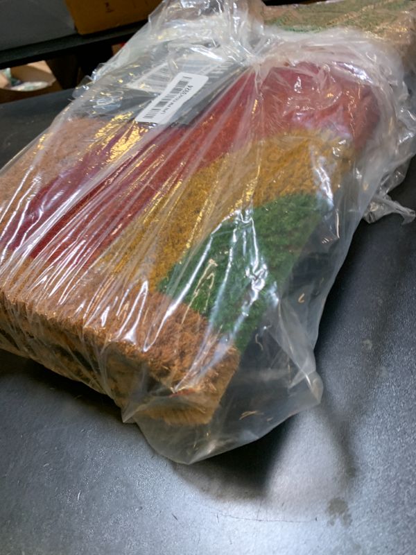 Photo 1 of KAF Home New Coir Doormat, Heavy-Duty, Weather Resistant, Non-Slip PVC Backing, Indoor and Outdoor Use, Rainbow