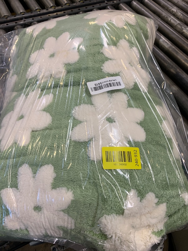 Photo 1 of Lesure Small Dog Beds-Thick Shredded Chopped Foam Pet Bed Indoor with Removable Cover, Cute Modern Fuzzy Plush & Anti Slip Bottom, Green