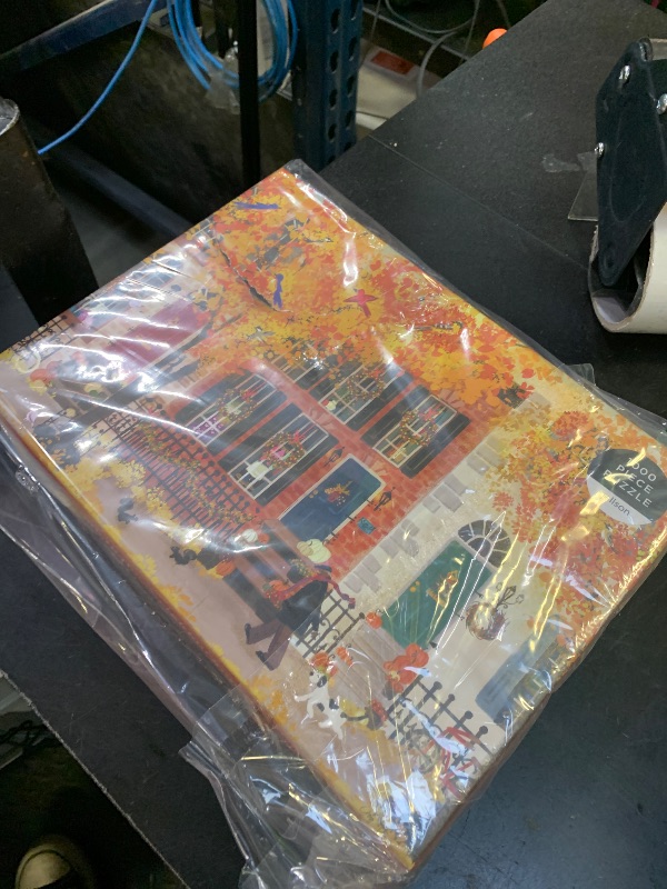 Photo 1 of 1000 PCS PUZZLE FALL