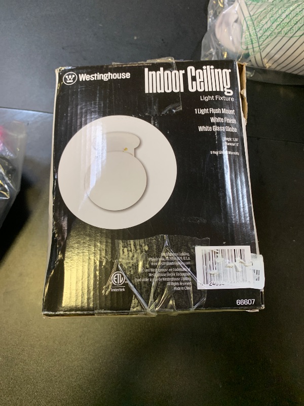 Photo 1 of Westinghouse Ceiling Mount Indoor Light Fixture 66607