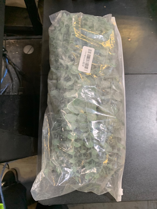 Photo 1 of WONICE 240 Pcs 6 Kinds Mixed Eucalyptus Leaves Stems Bulk Artificial Silver Dollar Eucalyptus Leaves Picks Dried Eucalyptus Bundle Faux Spray for Wedding Vase Bouquet Floral Arrangement Decor (240)