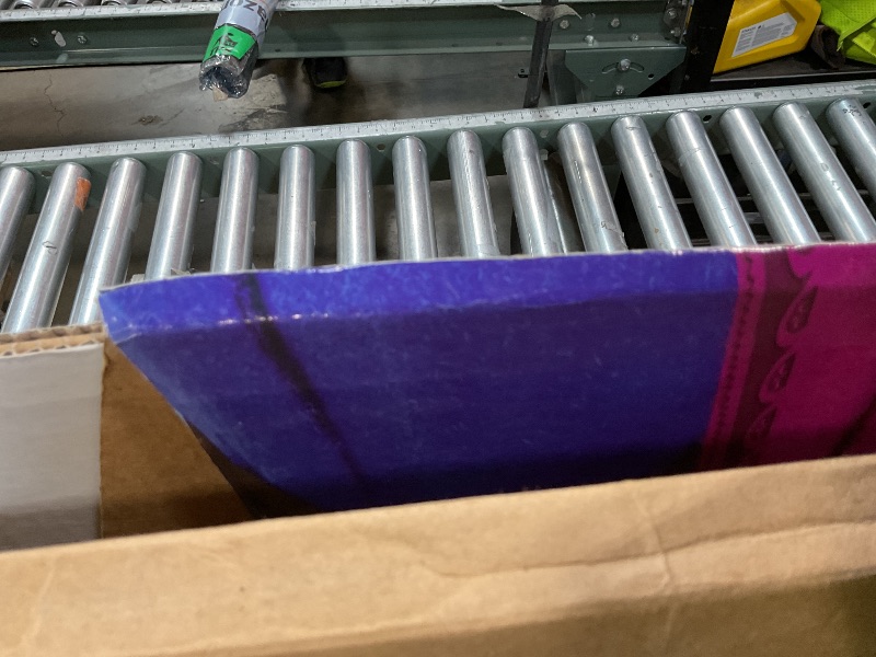 Photo 1 of **TEAR. BEND DAMAGE**Cardboard People Elsa & Anna Life Size Cardboard Cutout Standup - Disney's Frozen (2013 Film)