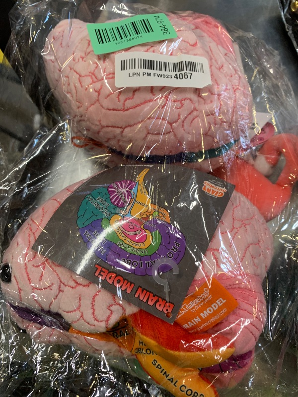 Photo 1 of GIANTmicrobes Brain Model, Human Brain Anatomy Model, Brain Model for Kids, Brain Model for Neuroscience, Brain Model for Teaching, Brain Model for Psychology, 3D Brain Model, Brain Anatomy Toy