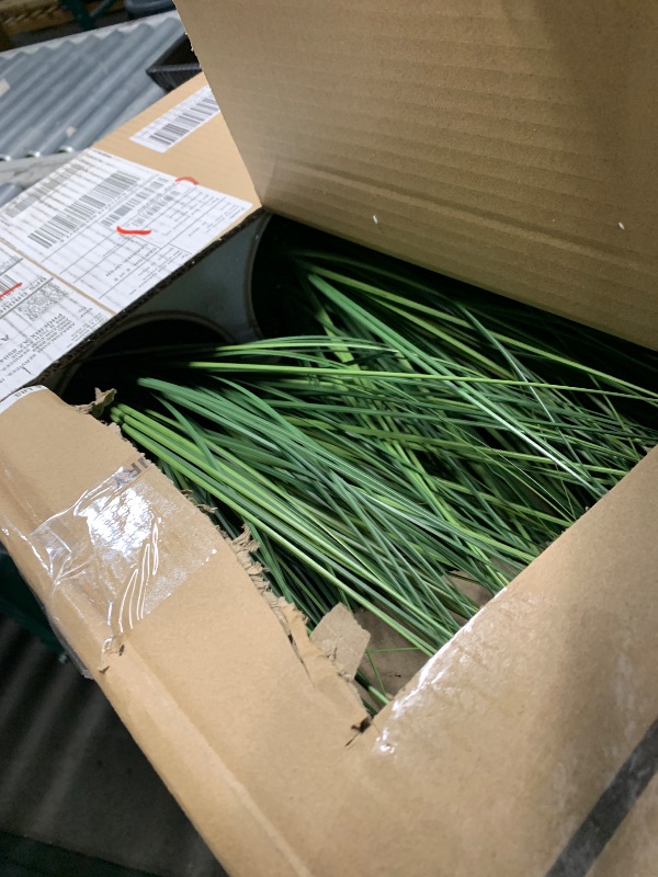 Photo 1 of 
FOIMAS 12pcs Artificial Grass Plants,19.68" Faux Shrubs Wheat Grass Greenery Stems Fake Plants for Indoor Outdoor Home Decoration