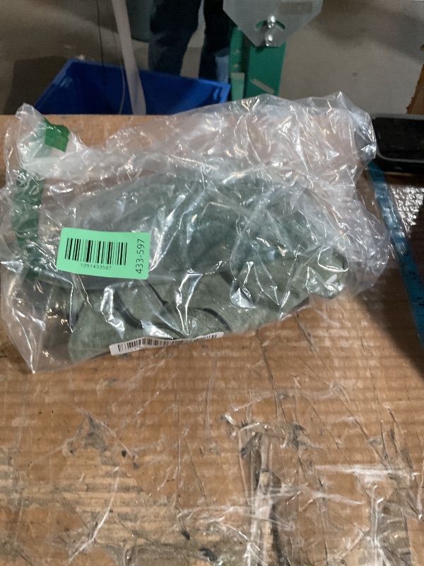 Photo 1 of *** shirt is green ***Wisdom Has Been Chasing You But You Have Always Been Faster T-Shirt