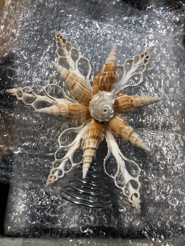 Photo 1 of (used)(damaged) Demissle 8 Inch Natural Conch Tree Topper Beach Christmas Tree Topper Conch Star Flower Coastal Treetop Decoration Christmas