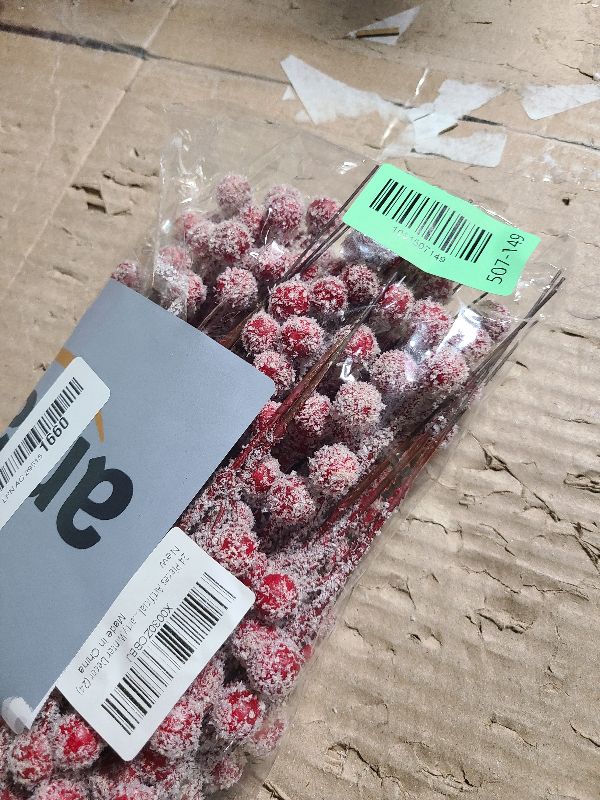 Photo 1 of 24 Pieces Artificial Holly Berry Stems 9" Christmas Berry Picks Sprays Snowy Fake Red Berries for Christmas Tree Branches Fillers Ornaments Valentine DIY Crafts Wedding Home Party Winter Decor (24)