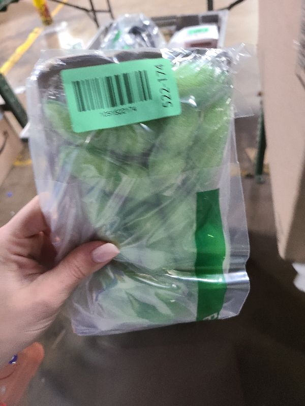 Photo 1 of 12 PCS Magic Beans Bottle Cleaner Bottle Cleaning Beans Beans Bottle Cleaning Sponge Reuseable Bottle Cleaning Sponge for Internal Cleaning of Small Mouth