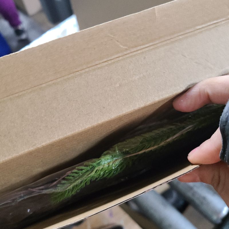 Photo 1 of 12 Inch Christmas Norfolk Pine Wreath with Velvet Ribbon Twig and Hanging Bells Christmas Wreath for Front Door Farmhouse Rustic Window Table Wall Mantel Holiday Xmas Decorations(Green,Norfolk Pine)