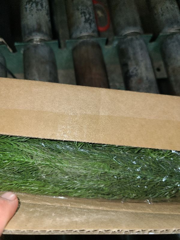 Photo 1 of 20 Pcs Christmas Norfolk Pine Branches -18" Real Touch Artificial Norfolk Pine Branch Faux Plants Stem Fake Greenery Pine Picks for Vase DIY Crafts Garland Wreath Home Indoor Outdoor Decoration