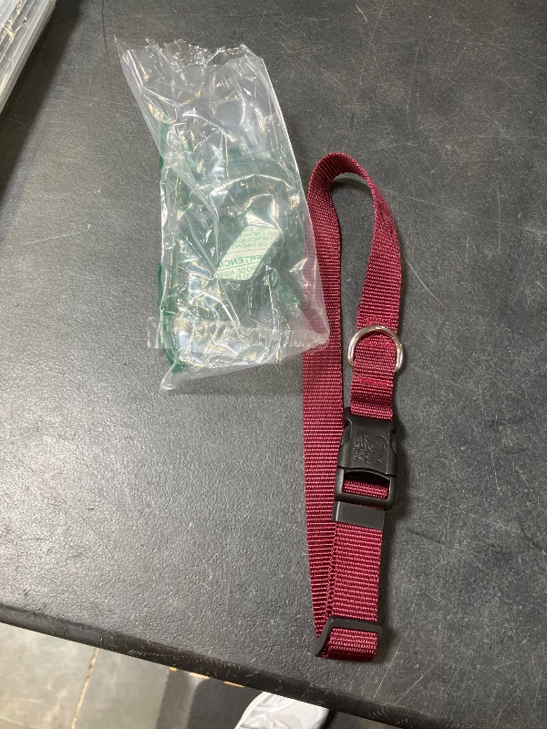 Photo 1 of country brook petz dog collar