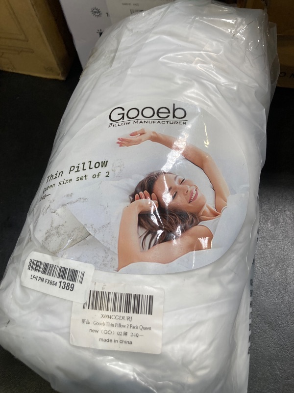 Photo 1 of Gooeb Flat Ultra Thin Bed Pillows Standard/Queen Size Pillow Set of 2 Extra Soft Down Alternative for Stomach Back Sleeping White