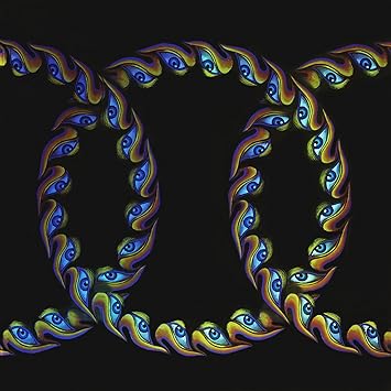 Photo 1 of Lateralus
