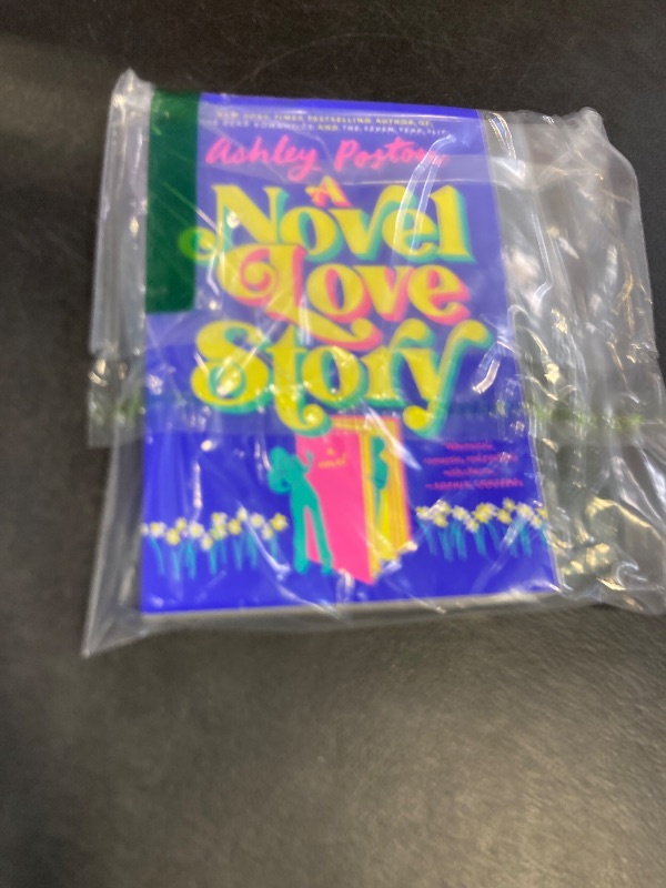 Photo 1 of A Novel Love Story