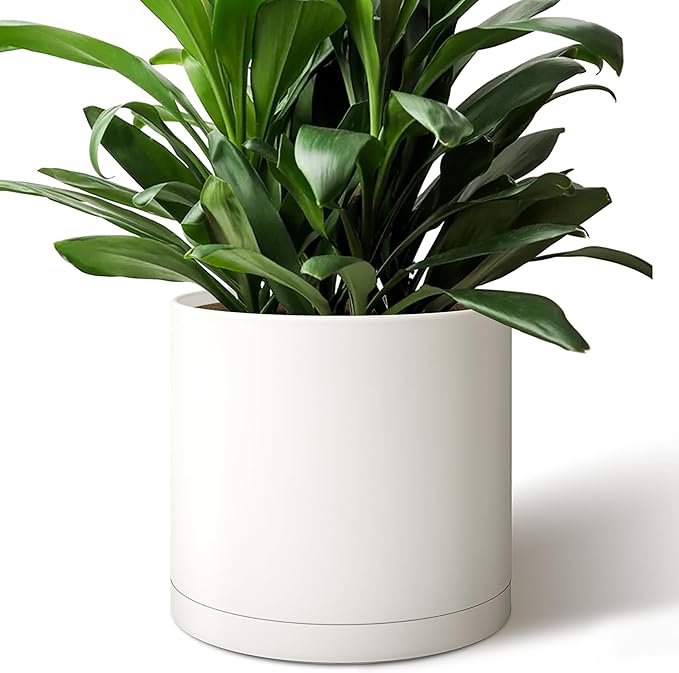 Photo 1 of Giraffe Creation 12 Inch Cylinder Plant Pot, Modern Round Planter with Drainage Holes and Saucer, Durable Plastic Flower Pot for Indoor Outdoor Plants, White

