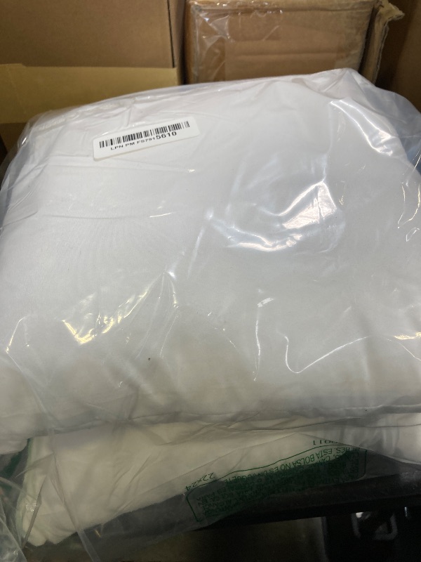 Photo 1 of MIULEE Throw Pillow Insert Premium Pillow Stuffer Sham Rectangle for Decorative Cushion Bed Couch Sofa 12x20 Inch