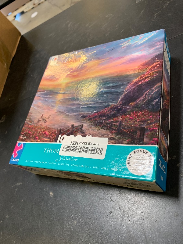 Photo 1 of Ceaco - Thomas Kinkade - Beachside Gathering - 1000 Piece Jigsaw Puzzle