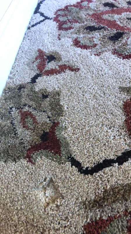 Photo 1 of ORION RUG COMPANY “COMO/VINTAGE BISQUE” 63” X 90”