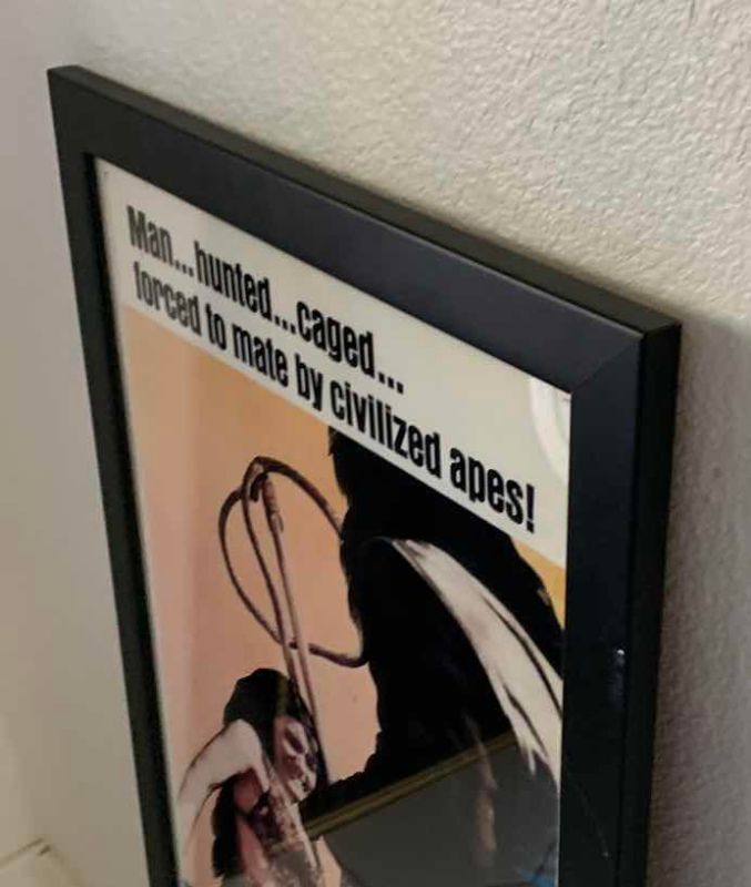 Photo 1 of PLANET OF THE APES FRAMED MOVIE POSTER 38 X 16