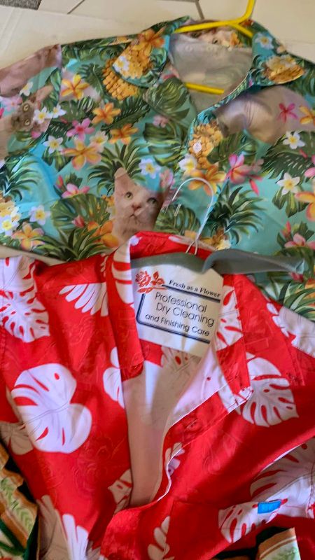 Photo 1 of 4 SHIRTS SIZE S