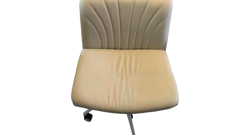 Photo 1 of RENSJJ ARMLESS WIDE OFFICE CHAIR