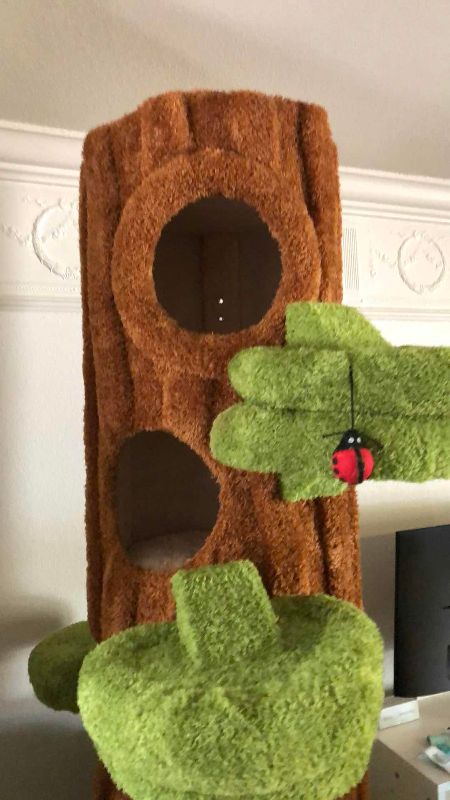 Photo 1 of CAT TREE 90”