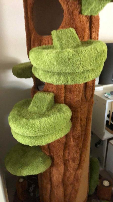 Photo 1 of CAT TREE 90”