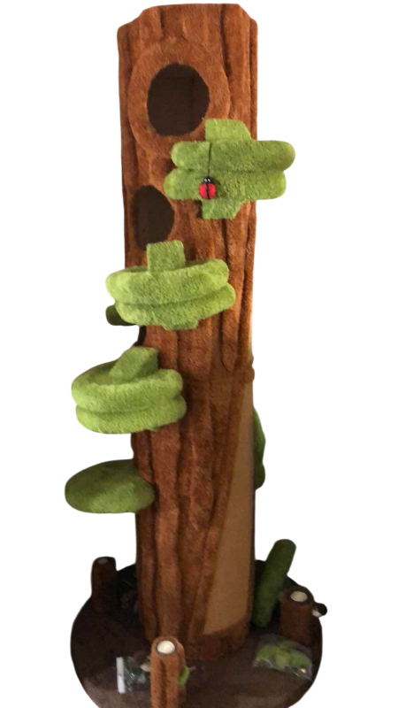 Photo 1 of CAT TREE 90”