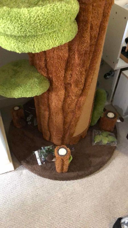 Photo 1 of CAT TREE 90”