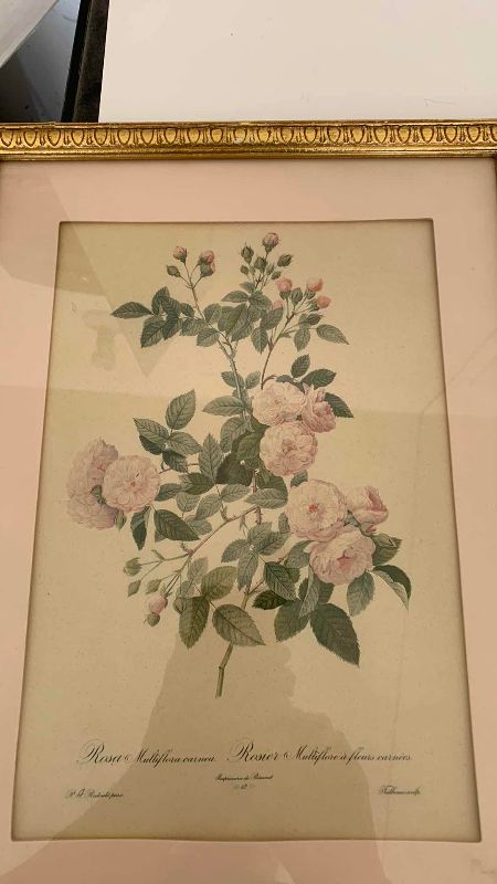 Photo 1 of IKEA JACKET  AND A VINTAGE ROSES PRINT 17” X 13