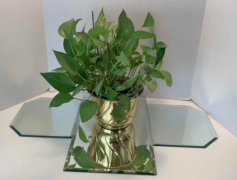 Photo 1 of BEVEL GLASS MIRROR, TABLETOP, SETTING WITH BRASS VASE AND LIVE PLANT
