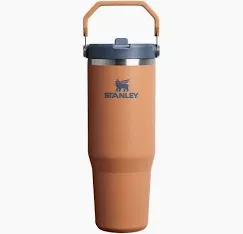 Photo 1 of The IceFlow™ Flip Straw Tumbler | 30 OZ

