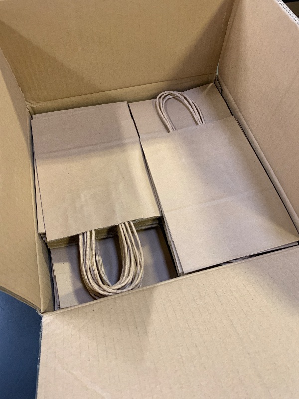 Photo 1 of 100 PCS PAPER BAGS 