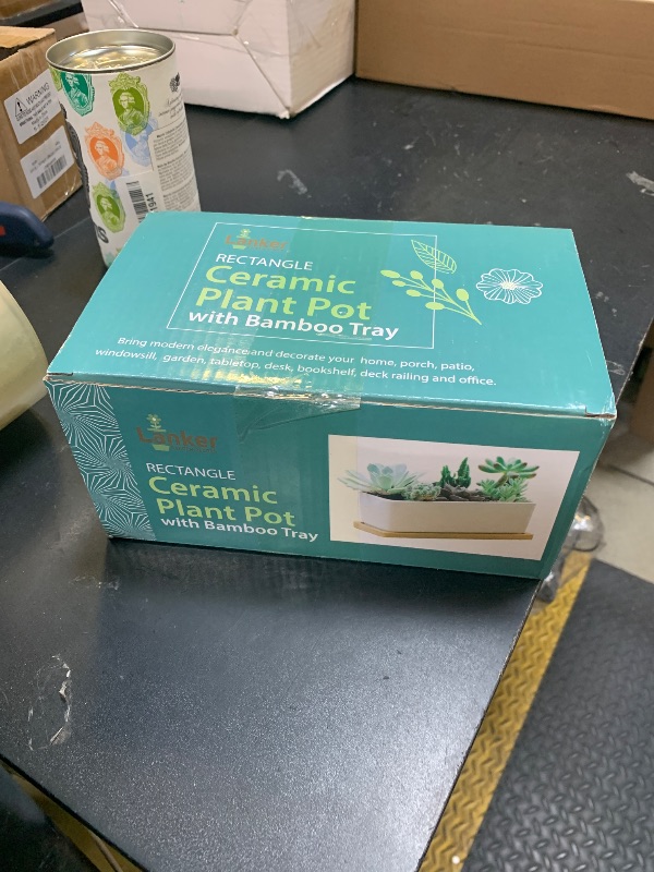 Photo 1 of LANKER 6.5 Inch Rectangle White Ceramic Succulent Planter Pot Decorative Cactus Plant Pot Flower Container with Bamboo Tray (Rectangle 6.5 Inch)