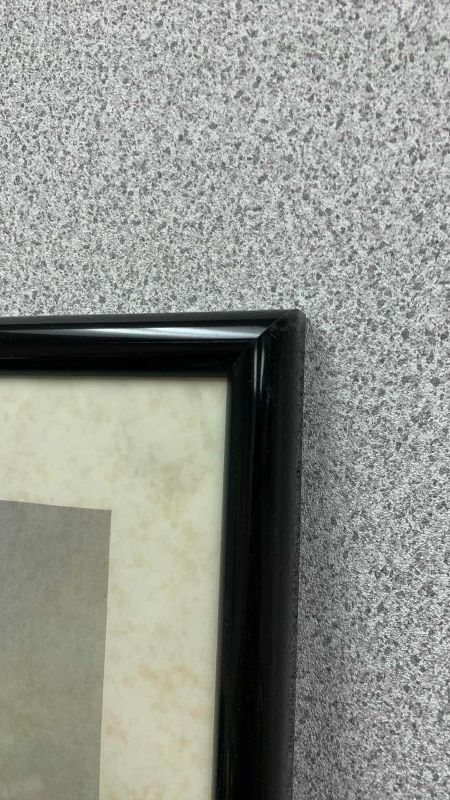 Photo 1 of SALVADOR DALI “LINCOLN IN DALIVISION” PRINT WITH DALIOPTIC LENS 25” X 33”
