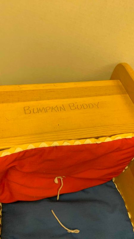 Photo 1 of BUMPKIN BUDDY CHILDS CHAIR
