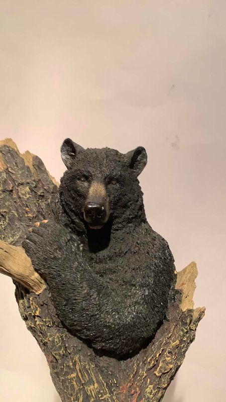 Photo 1 of 2 RESIN HOOKS OF ANIMALS 12”