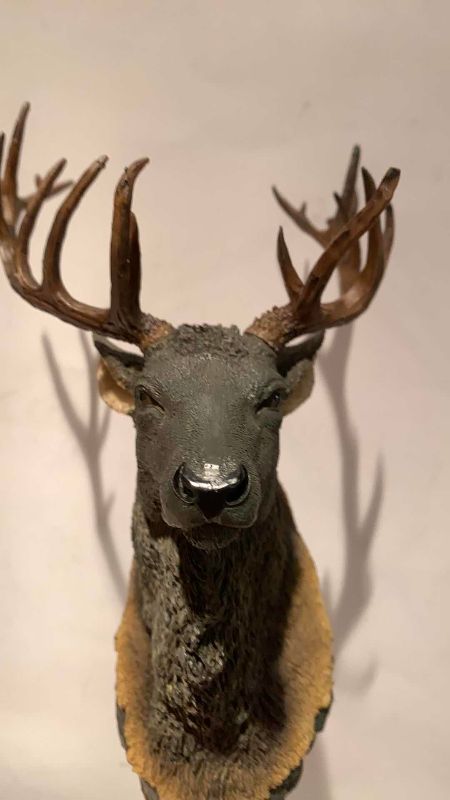 Photo 1 of 2 RESIN HOOKS OF ANIMALS 12”