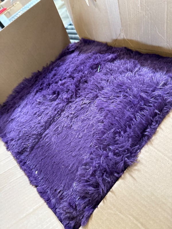 Photo 1 of Rugs for Bedroom 4x6, Alfombras para Salas Shag Large Plush Soft Area Rug, Shaggy Carpets for Livingroom, Kids Boys Girls Home Decor Aesthetic(Grape Purple, 4 x 6)