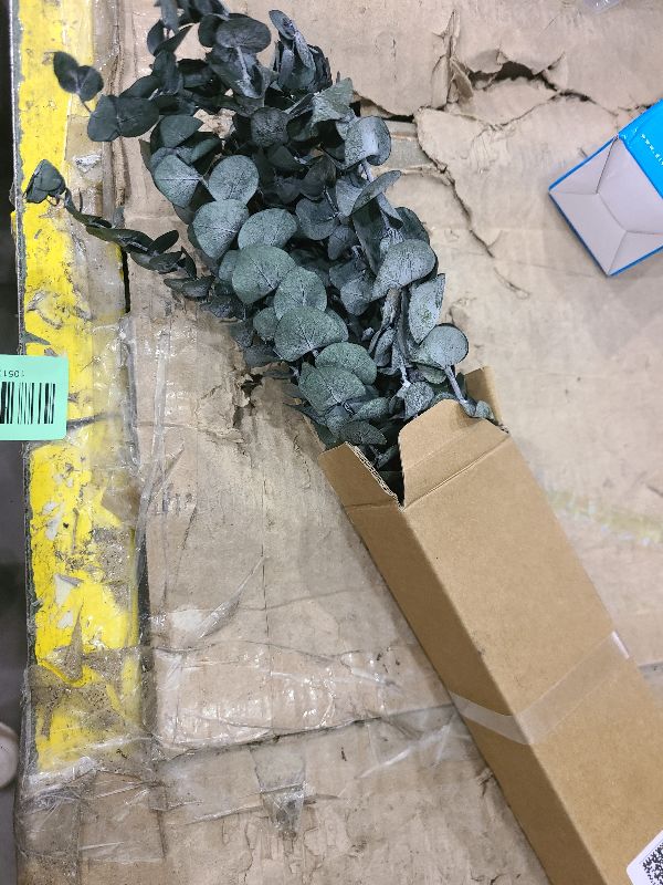Photo 1 of 10Pcs Dried Eucalyptus for Shower Hanging-17''Preserved Real Fresh for Green Home Decor,100%Made from Fresh Eucalyptus Leaves Plant,Bathroom Shower Decor,Wedding Decor