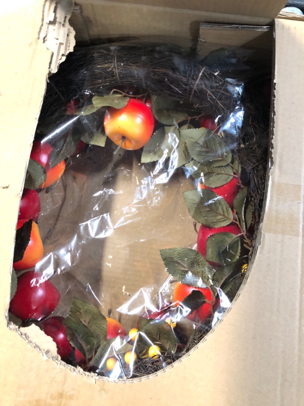 Photo 1 of (see all images) Worth Imports 24" Apple Pomegranate Wreath On Natural Twig Base Home Decor Accents